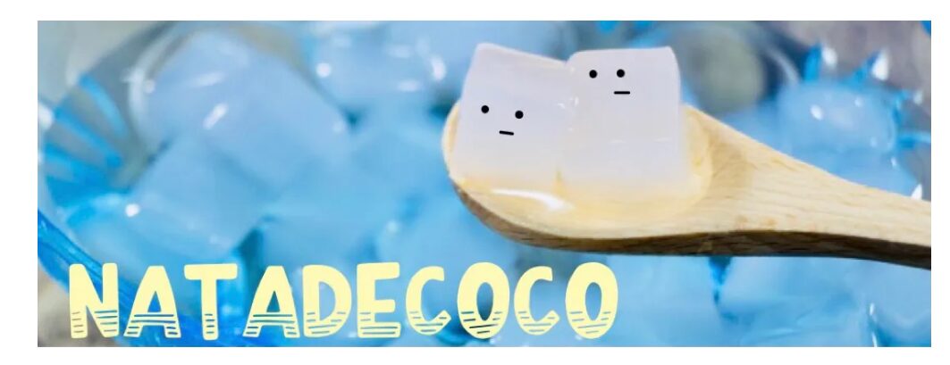 ナタデココオリパ